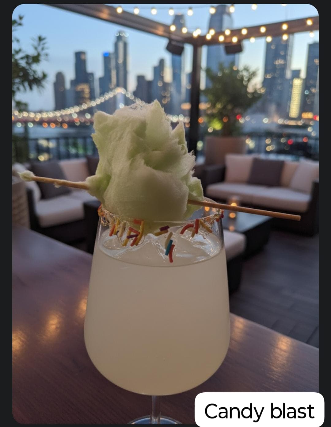 Craft cocktail garnish and aesthetic presentation